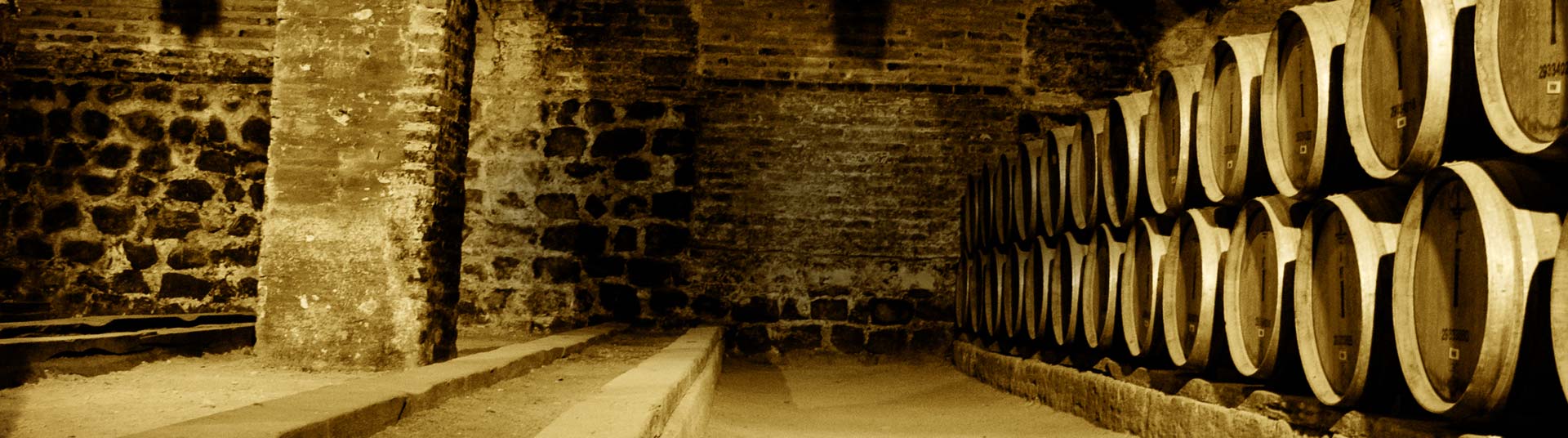 Wine barrels stacked against a brick wall in a cellar