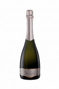 Salatin Prosecco Treviso Extra Dry DOC Veneto Italy sparkling wine bottle